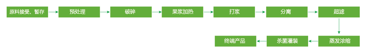 藍(lán)莓、草莓、桑葚濃縮汁